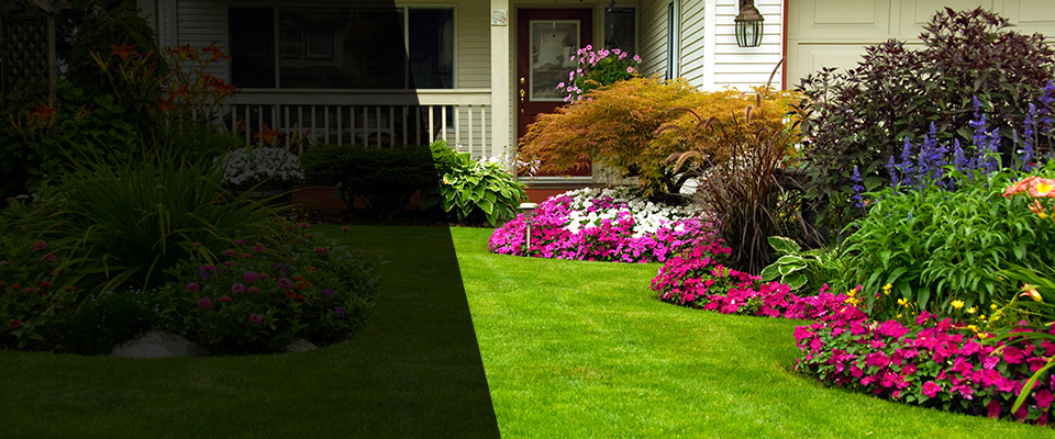 Tremont Landscapers